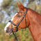 Kieffer Trensenzaum, Trense Ultrasoft© KI_Amy anatomisch geschnitten Größe Warmblut, Farbe braun/braun