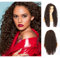 Sapphirewigs Lockige Lace Front Perücke Highlight Braun Synthetische Perücken für Frauen 13x3 Tägliche Tragen Party Weihnachten Halloween Hitzebeständige 26 inch