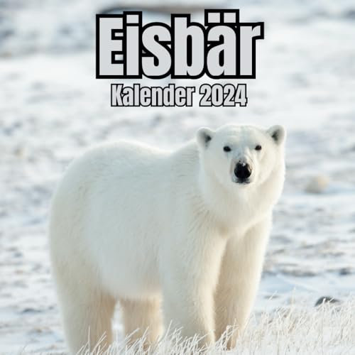 Eisbär Kalender 2024: 14-Monats , November 2023 bis Dezember 2024, für Zuhause und Büro für Tierliebhaber