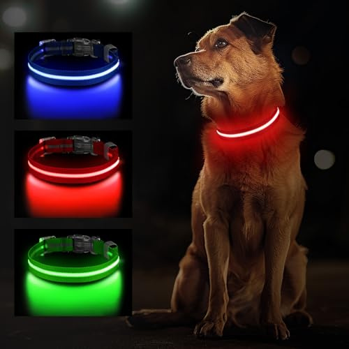 Jewyow Light Up Dog Collar, Rechargeable LED Dog Collar | Adjustable Dog Collar Light for the Dark with Waterproof, 3 Modes, for Small Medium Large Dogs, Red-L