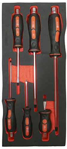 Fischer Darex 810907 Module de rangement comprenant 6 tournevis électricien & mécanicien, Noir