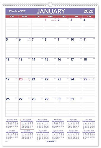 AT-A-GLANCE 2020 Monatlicher Wandkalender, 38,1 x 55,9 cm, groß, Spiralbindung (PM328)