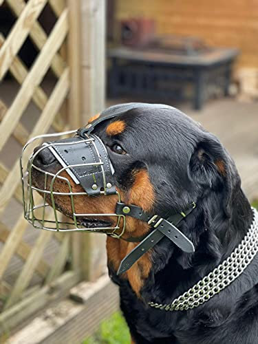 STRONG Wire Metal muzzle Basket Dog Muzzle Rottweiler,Mastiff Golden Retriever & other (R3, Silver/Black Leather)