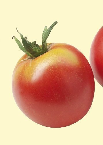 Tropica - Tomaten - Rose de Berne (Lycopersicon esculentum) - 10 Samen - Historische Tomatensorte