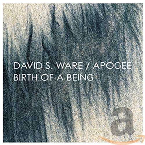 APOGEE / BIRTH OF A BEING