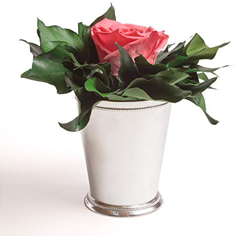 ROSEMARIE SCHULZ Heidelberg Infinity Blume in silberfarbenen Becher 1 ewige Rose konserviert Rosenbox langhaltend (Koralle, 1 Rose)
