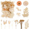 Trockenblumen - Getrocknete Blumen Zum Basteln, für DIY Kunst, Scrapbooking, Harz, Kartenherstellung, Weiß