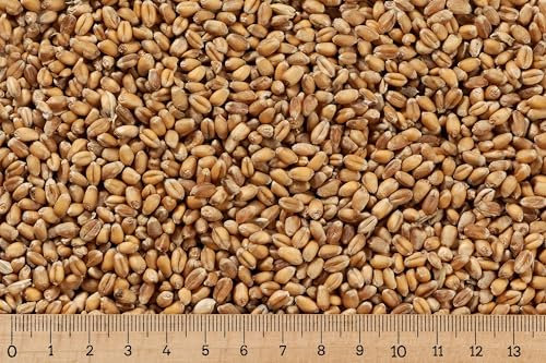 (Grundpreis 0,69 €/kg) - 25 kg Weizen ganzes Korn - Futterweizen - Hühner - Nager - Wildvögel