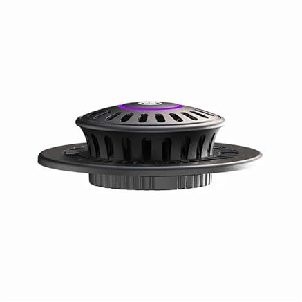 Terrarien für Blumenkübel Sukkulenten Pflanzer Glas Pflanze Terrarium mit wachsen Licht Desktop Glas Home Garten Büro Tischplatte Dekoration Flaschengarten(Black M)