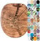 Sanilo Soft Close Toilet Seat, Wide Choice of New Toilet Seats, Stable Hinges, Easy to Mount (Old Tree)