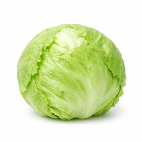 Crisphead Iceberg Lettuce Seeds – Compact Round Heads with Crisp Texture for Home Gardens, Raised Beds & Containers