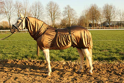 Hafer24 Ekzemerdecke Fliegendecke Master - Farbe braun alle Gr. 85 cm - 165 cm (85)