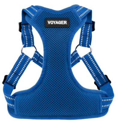 Voyager Verstellbares Hundegeschirr mit Reflektorstreifen by Best Pet Supplies - Strapazierfähige Ganzkörperweste ohne Zugkraft mit Leinen-D-Ring, atmungsaktiv, Königsblau, size L