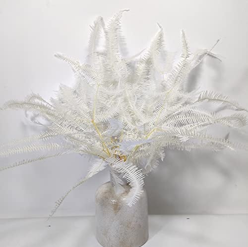 10 Stiele natürlich getrocknete Farnblätter weiß konserviert Farn Blumenstrauß – Elfenbein für Hochzeit, Heimvase, Blumenarrangement, Girlanden, Wandbehang
