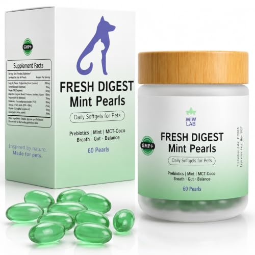 Cápsulas Blandas Suplemento de Menta y Jengibre para Salud Digestiva Perros y Gatos | Potente Complemento para Mal Aliento de Perro y Gato con Enzimas Digestivas y Prebióticos para Mascotas