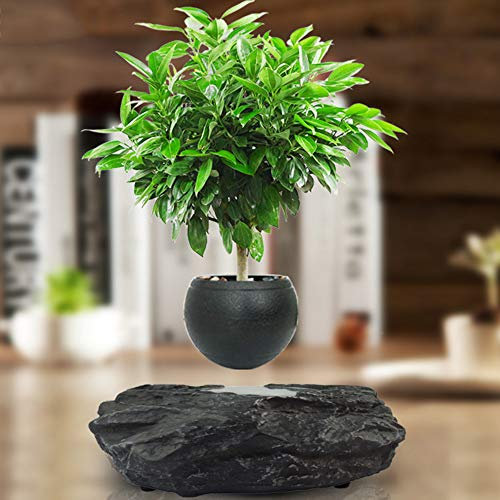 ZHHID PflanztöPfe Anzucht- Levitation Schwebender Blumentopf - Zimmerpflanzen - Kreative Design Levitation Bonsai - Home Office Dekorationen - Fun Geschenk