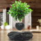 ZHHID PflanztöPfe Anzucht- Levitation Schwebender Blumentopf - Zimmerpflanzen - Kreative Design Levitation Bonsai - Home Office Dekorationen - Fun Geschenk