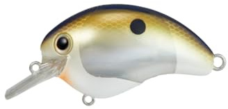 SHIMANO Lure Bt World Rush 56F Flash -Boost 56mm 16g 005 Sexy G S