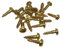 Brass Roundhead Slotted Wood Screws - 3.5mm x 16mm - 6 x 5/8 (Pack of 20)