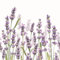 Miss Lovely Servietten Lavendel Motiv Wiese mit Lavendel-Blüten Frühlings-Blumen lila & Flieder Oster-Servietten Oster-Fest Oster-Deko Ostern Tisch-Dekoration Frühling & Sommer 20 Servietten