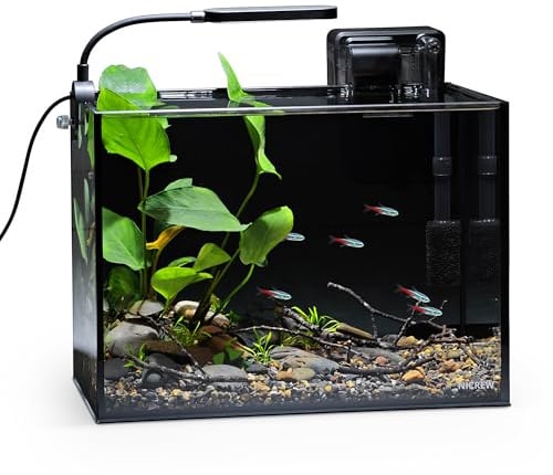 NICREW 2.5 Gallon Nano Nature Aquarium Kit, Ultra-Clear Rimless Desktop Fish Tank with Light, Filter, Gravel and Rock, Perfect for Small Fish, Shrimp, or Betta, Complete Version, Black