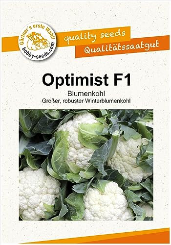 Kohlsamen Optimist F1 Winterblumenkohl Portion