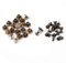 Petit Rivet à tête plate, 20pcs Rivets pour Cuir, Cuir Artisanat Rivets, Vis en laiton en écrous clous rivets de capuchon en ensemble, pour Ceinture Sac à Main Portefeuille décoration(8mm)