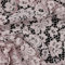 Stoff Meterware Spitze Blumen Polyester - 1 Meter, Damen, Kleider, Röcke, Dirndl, Schürzen, Deko, Damen, Kinder, Mädchen, Nähen (Mauve)
