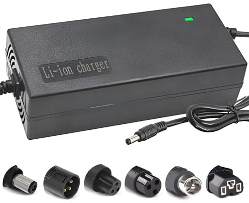29.4V 42V 54.6V 58.8V 67.2V 84V 96.6V Li-ion battery multi-function charger 2A 5A with cooling fan 24V 36V 48V 51V 60V 72V (54.6V 2A)