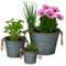 Trendi Galvanized Metal Flower Pots with Rope Handles – Set of 3 Rustic Planters for Indoor & Outdoor Use | Vintage Flowers & Garden Embossed Tin Buckets | Decorative Rustic Planters