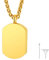 FindChic Memorial Urnen Anhänger Asche Halskette Dog Tag Kette Herren Damen Edelstahl Blut Kette zum befüllen Erinnerungsschmuck mit Trichter Füllen Kit Gold