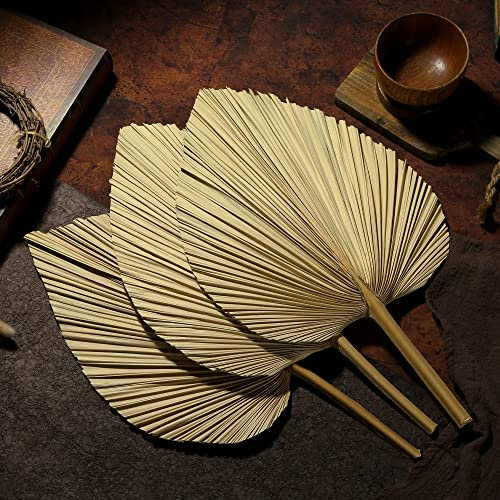 Sggvecsy Lot de 4 éventails de feuilles de palmier naturelles séchées de 40,6 cm pour décoration de mariage, maison, cuisine, vase, arrangements de table, décoration d'anniversaire