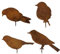 Gartenstecker Rost Deko, 4 Stück Rostiges Vögel Metall Edelrost Gartendeko Rostoptik Mit Schraubgewinde, Vogel Stecker Baumstecker für Holz Zaunfiguren
