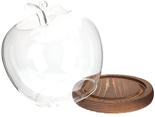 Zerodeko Apple Glasabdeckung Glaskuppel Mit Holzsockel Puppenhülle Aus Glas Mini Tortenständer Kuppel Konservierter Blumenschatten Glockenkuppel Aus Glas Hölzern Einfach Blumenstand