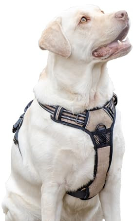 Ferplast Pettorina Cane Taglia Grande, 2 Ganci per Massimo Controllo, Anti Tiro, Pettorina Cane Regolabile, Riflettente, Traspirante, Imbracatura Cani ideale per Addestramento L, Beige