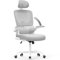 naspaluro Ergonomic Office Chairs with Lumbar Support, High Back Home Office Desk Computer Chairs, Adjustable Headrest and Flip-up Armrests, Swivel Mesh Task Chair-Gray Chair