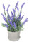 SEWACC Pianta Di Lavanda Artificiale In Vaso Lavanda Finta In Vaso Con Fiori Di Lavanda Viola Per La Casa