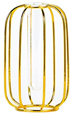 Vasi Per Fiori Con Cornice Per Modellazione Geometrica In Ferro Artistico,Fioriera Per Provetta In Vetro Trasparente,Vaso Decorativo Per Fiori In Metallo,Decorazioni Vaso Per Soggiorno Festa Di Nozze