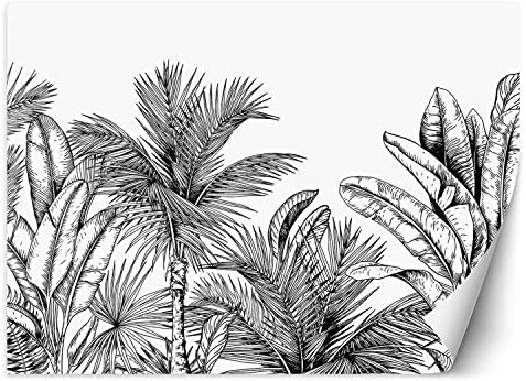 Feeby Papier Peint Intissé Esquisse Tropiques Exotisme 450x315 cm noir et blanc XXL Moderne Décoration Murale Tableaux Muraux Tapisserie Salon Chambre à coucher La jungle Les feuilles Palmes