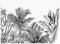 Feeby Papier Peint Intissé Esquisse Tropiques Exotisme 450x315 cm noir et blanc XXL Moderne Décoration Murale Tableaux Muraux Tapisserie Salon Chambre à coucher La jungle Les feuilles Palmes