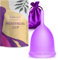 EcoBlossom Menstrual Cup Kit - Tampon, Pad, and Disc Alternative Product - Wear for 12 Hours - Reusable Period Cup/Copa Designed with Soft Flexible Medical-Grade Silicone (Regular Cup)
