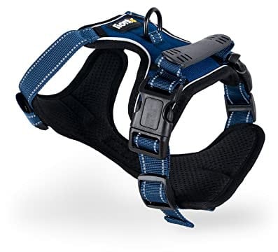 lionto Hundegeschirr gepolstert aus weichem Nylon, Größe M, reflektierendes Anti Zug Geschirr für Hunde mit 2 Ringen & 4 Einstellgurten, Zwei Klickverschlüsse & gummierter Griff am Rücken, blau