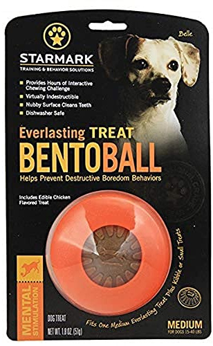 Starmark Everlasting Bento Ball for Dogs, Small