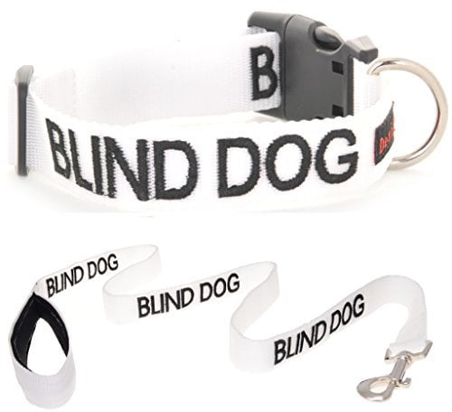 BLIND DOG (Dog Has Limited/No Sight) White Colour Coded S-M L-XL Dog Collar and 60cm 1.2m 1.8m Luxury Neoprene Padded Handle Lead Sets PREVENTS Accidents By Warning Others Of Your Dog In Advance (S-M & 1.2m)