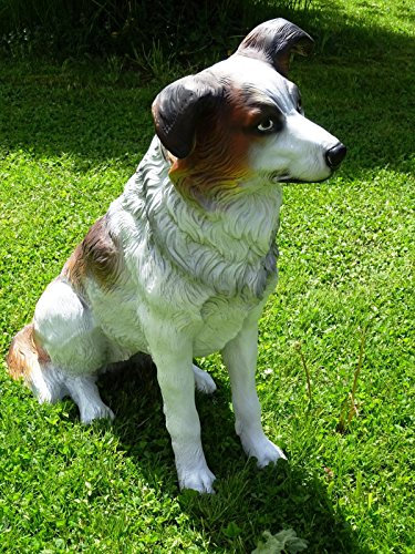 XL Australian Shepherd LEBENSGROSS ~Figur~HUNDEFIGUR DEKO IN LEBENSGRÖSSE~Hund Deluxe Gartendeko 80cm~Gartendekoration