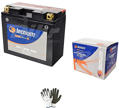 Compatible avec Yamaha 600 FZ6 2004 à 2009 batterie déjà prête à l'emploi Tecnium BT12B-BS batterie 10 ampères 12 V spécifique pour moto scooter 150 x 69 x 130