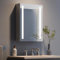 Dripex Bathroom Mirror Cabinet with LED Lights, 450 * 600mm Illuminated LED Bathroom Mirror Cabinet with Shaver Socket Dimmable Switch 3 Colors and Demister Pad,Grey