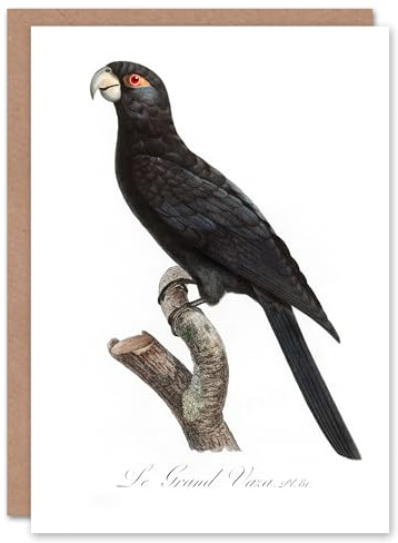 Artery8 Francois Levaillant Art Card The Greater Vasa Parrot