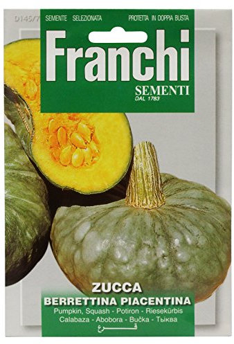 BUSTINA SEMI DI ZUCCA BERRETTINA PIACENTINA ORTO GIARDINO SEMI