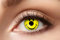 Eyecatcher 84063141-602 - Farbige Kontaktlinsen, 1 Paar, für 12 Monate, Gelb, Karneval, Fasching, Halloween